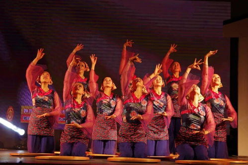 草根艺术团绽芳华 顺德社区巡演三载情，央视舞台展风采