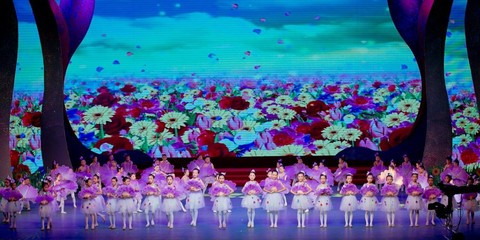 心中的马兰花 开啦 昕宇艺术培训中心绽放2017全区六一文艺晚会